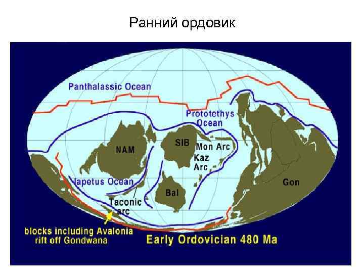 Ранний ордовик 