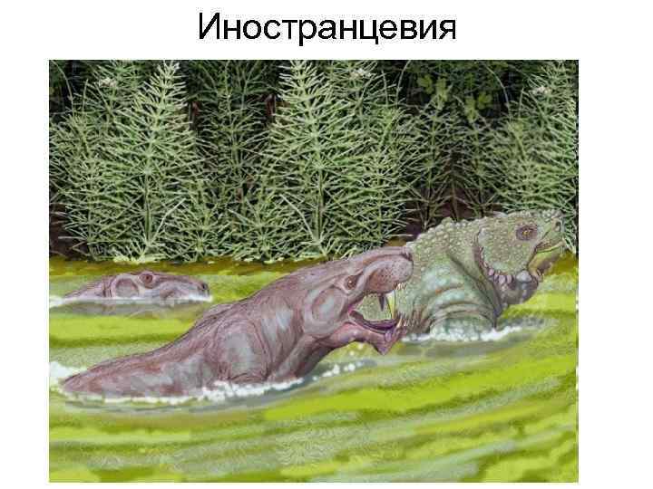 Иностранцевия 