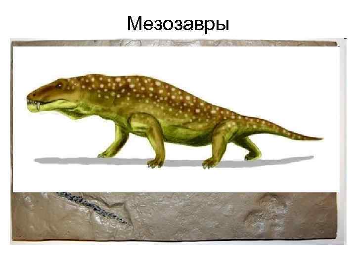 Мезозавры 
