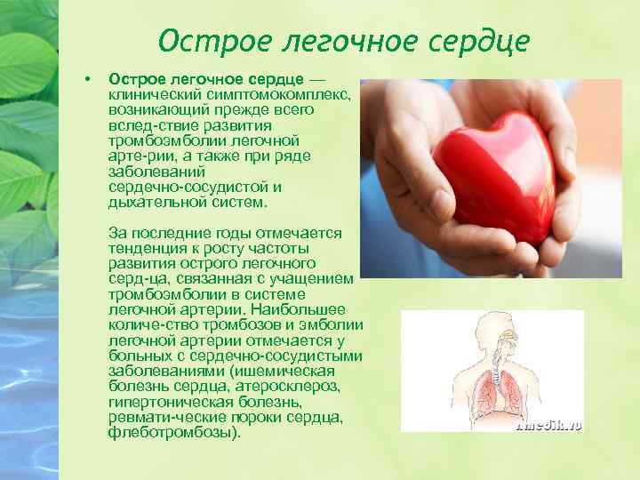 Острое легочное сердце • Острое легочное сердце — клинический симптомокомплекс, возникающий прежде всего вслед