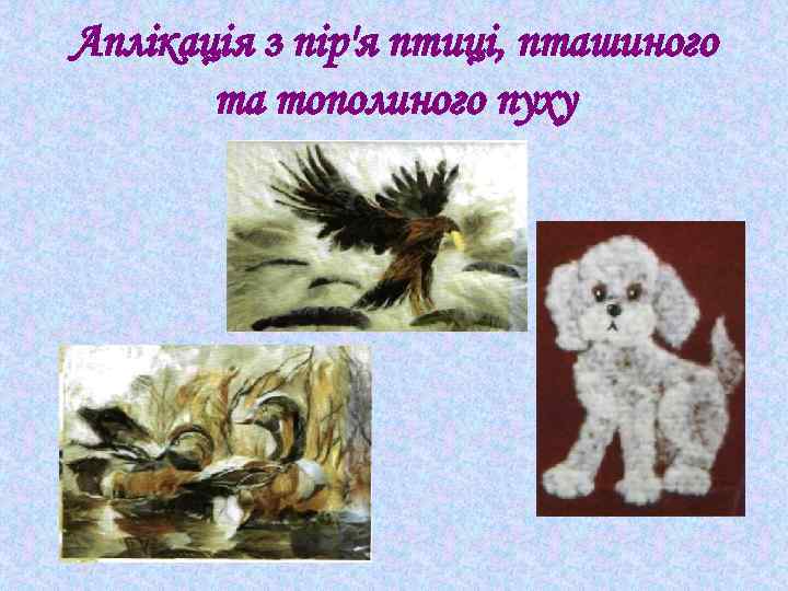 Аплікація з пір'я птиці, пташиного та тополиного пуху 