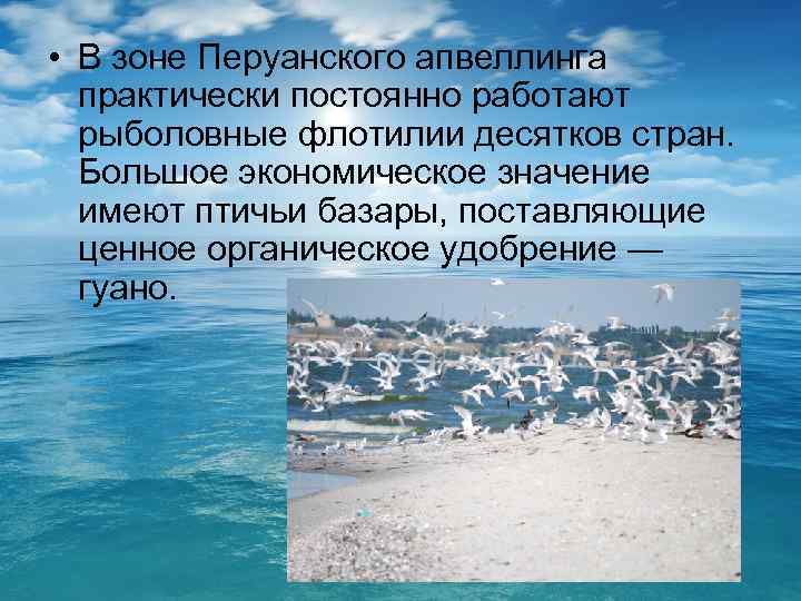  • В зоне Перуанского апвеллинга практически постоянно работают рыболовные флотилии десятков стран. Большое