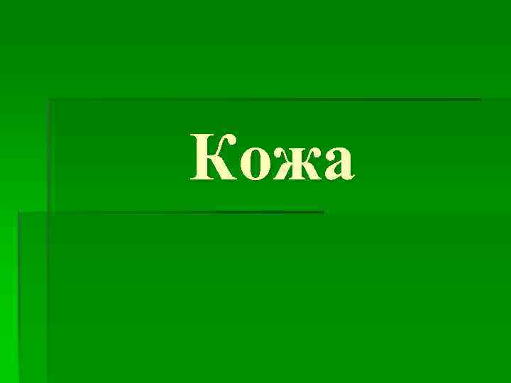 Кожа 