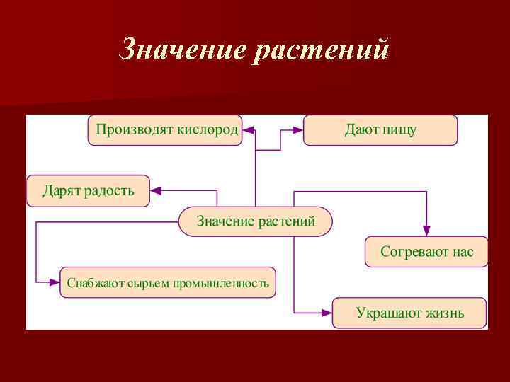 Значение растений 