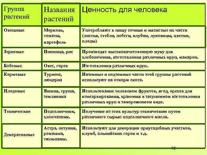 Группа растений Названия Ценность для человека растений Овощные Морковь, томаты, картофель Употребляют в пищу