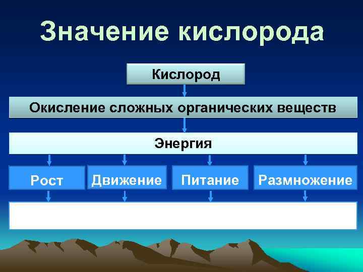 Значение кислорода Кислород Окисление сложных органических веществ Энергия Рост Движение Питание Размножение Процессы жизнедеятельности