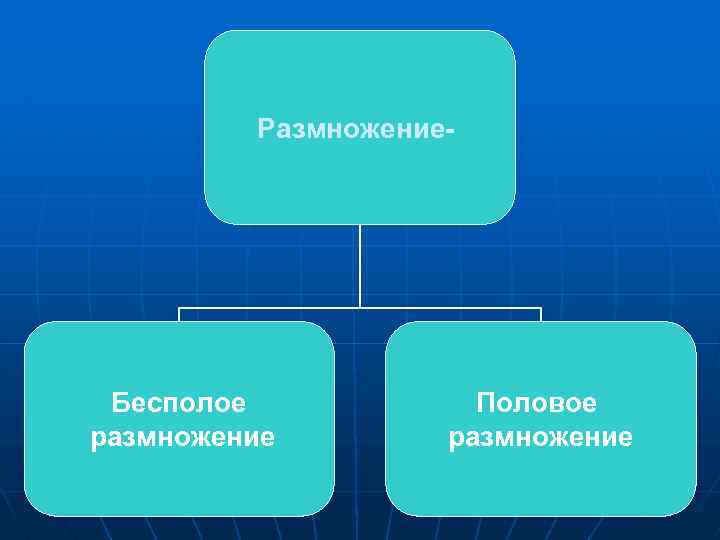 Размножение- Бесполое размножение Половое размножение 