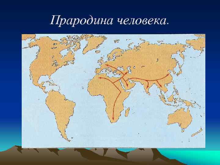 Прародина человека презентация 11 класс биология