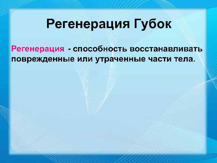 Регенерация Губок 
