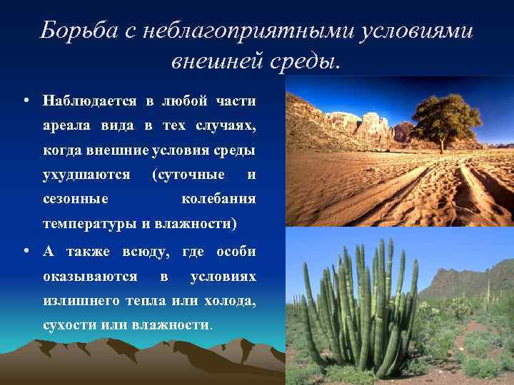 Борьба с неблагоприятными условиями внешней среды. • Наблюдается в любой части ареала вида в