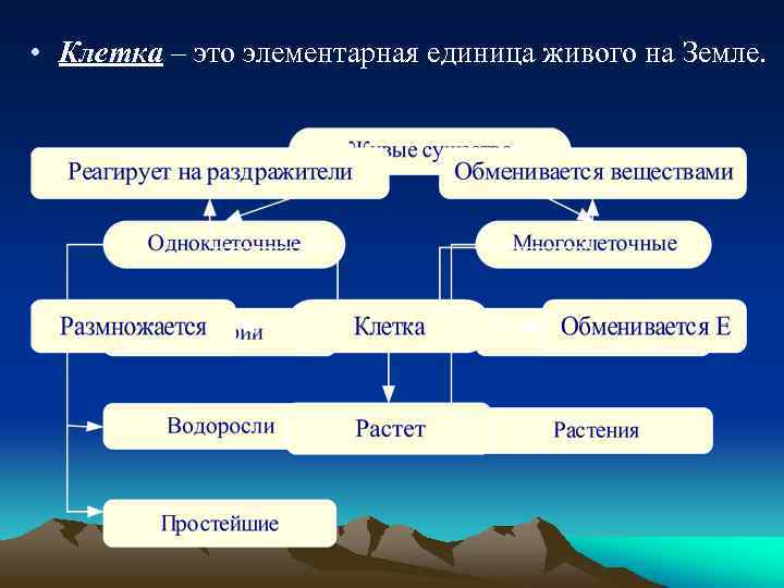  • Клетка – это элементарная единица живого на Земле. 