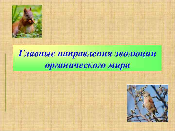 Главные направления эволюции органического мира 