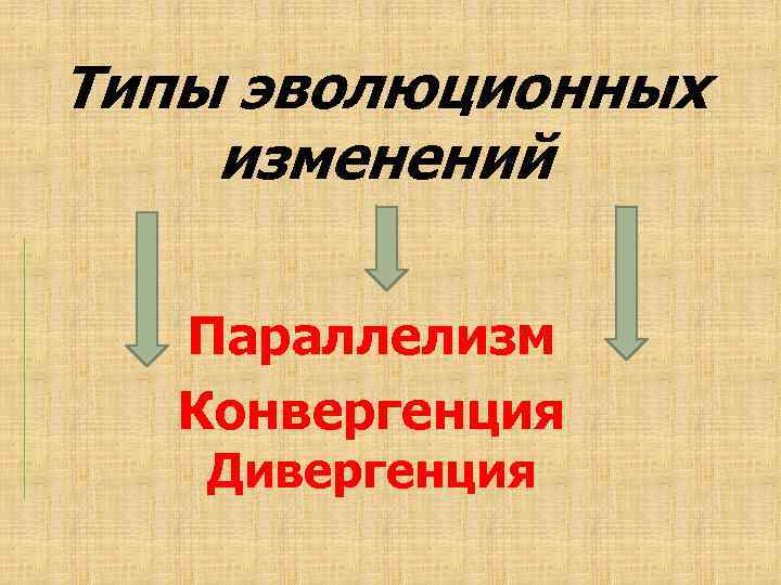 Типы эволюционных изменений презентация 9 класс