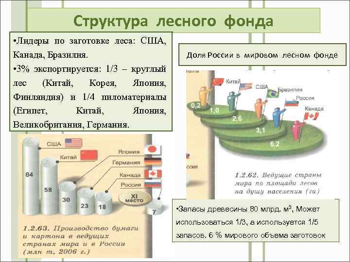 Структура лесного фонда • Лидеры по заготовке леса: США, Канада, Бразилия. • 3% экспортируется: