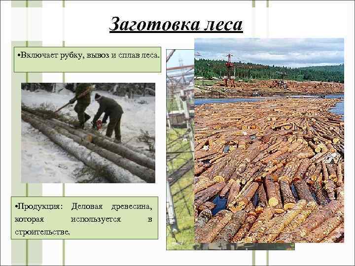 Заготовка леса • Включает рубку, вывоз и сплав леса. • Продукция: Деловая древесина, которая
