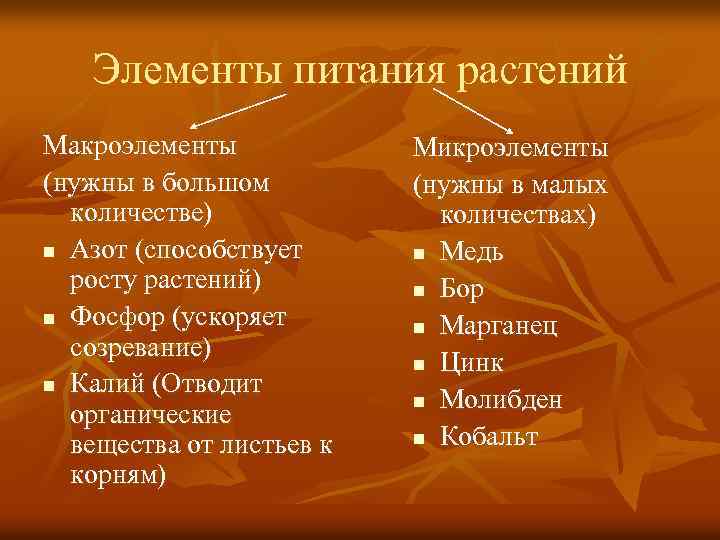 Элементы питания растений Макроэлементы (нужны в большом количестве) n Азот (способствует росту растений) n