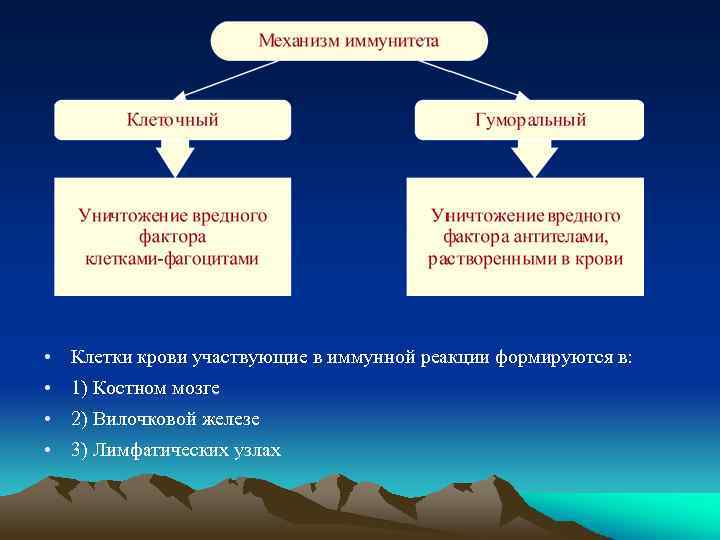 Факторы механизмы. Действующие факторы клеточного иммунитета. Механизм уничтожения клеточного иммунитета. Вид иммунитета клеточный действующие факторы механизм уничтожения. Механизм уничтожения гуморального иммунитета.