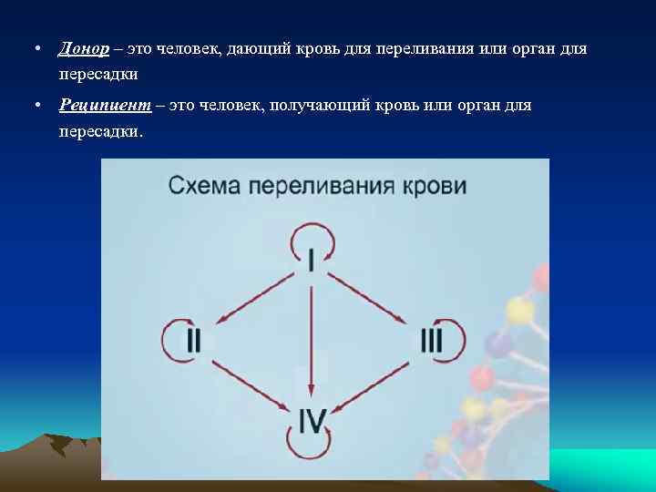  • Донор – это человек, дающий кровь для переливания или орган для пересадки