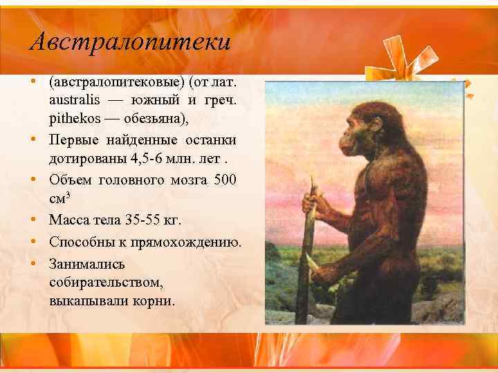 Австралопитеки • (австралопитековые) (от лат. australis — южный и греч. pithekos — обезьяна), •