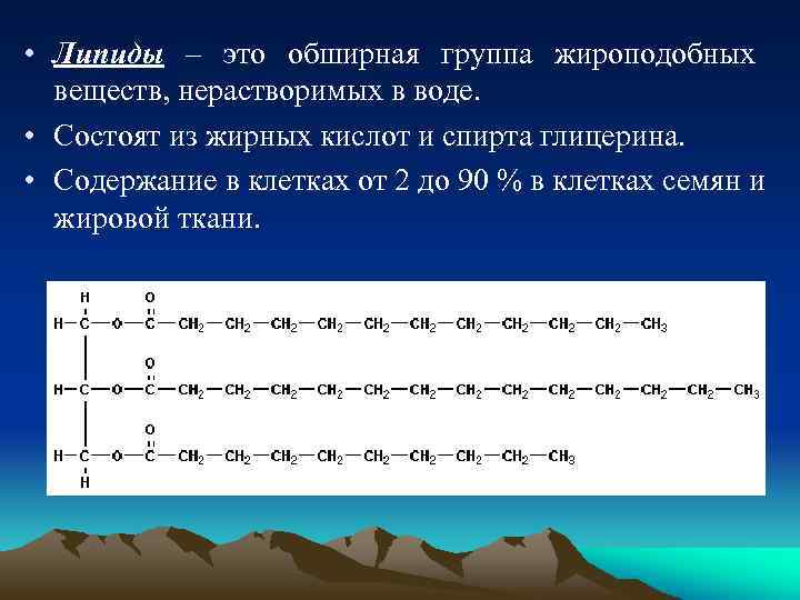  • Липиды – это обширная группа жироподобных веществ, нерастворимых в воде. • Состоят