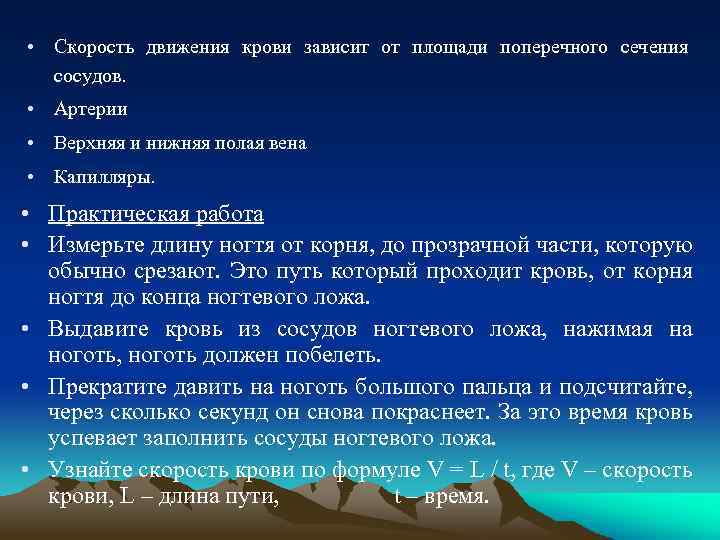  • Скорость движения крови зависит от площади поперечного сечения сосудов. • Артерии •