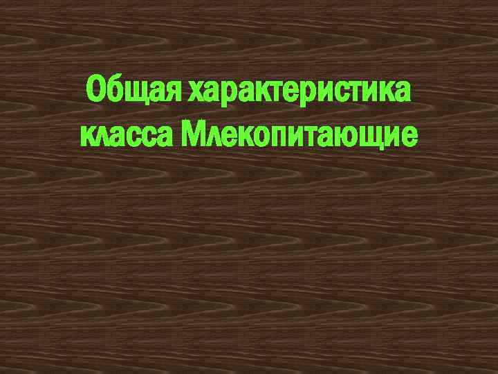 Общая характеристика класса Млекопитающие 
