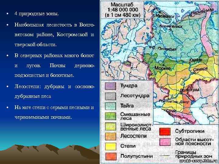  • 4 природные зоны. • Наибольшая лесистость в Волговятском районе, Костромской и тверской