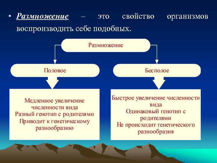  • Размножение – это свойство воспроизводить себе подобных. организмов 