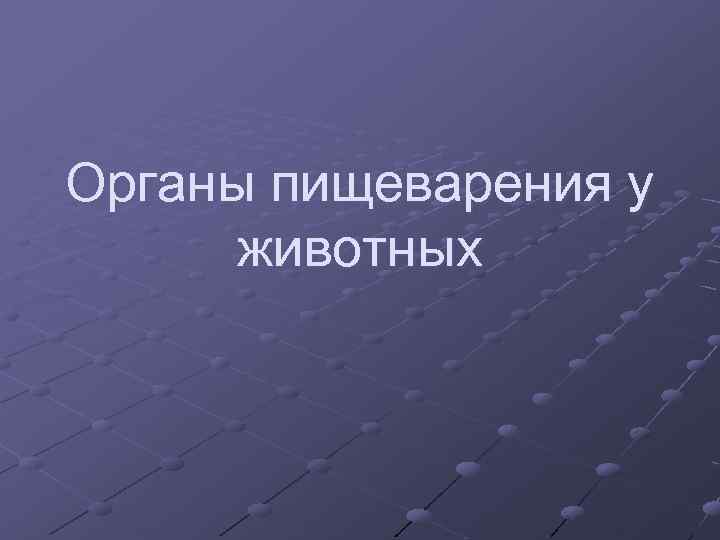 Органы пищеварения у животных 