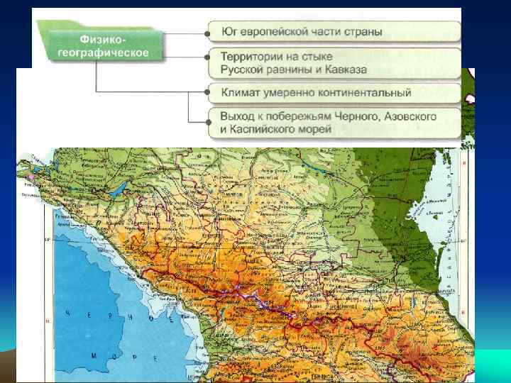  • Площадь – 354, 8 тыс. км 2. • Предкавказье – равнинная часть