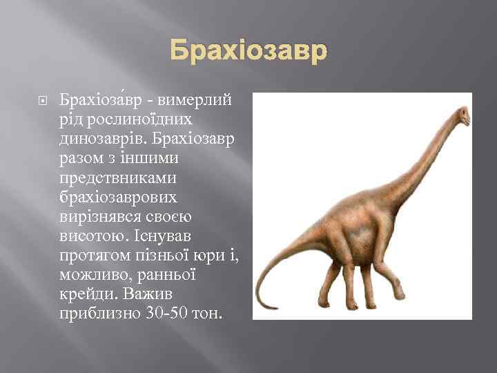 Брахіозавр Брахіоза вр - вимерлий рід рослиноїдних динозаврів. Брахіозавр разом з іншими предствниками брахіозаврових