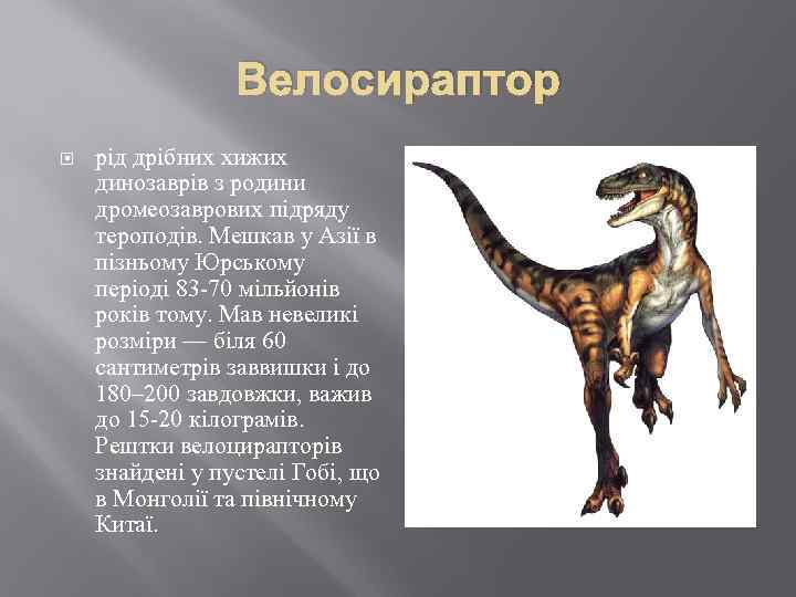 Велосираптор рід дрібних хижих динозаврів з родини дромеозаврових підряду тероподів. Мешкав у Азії в