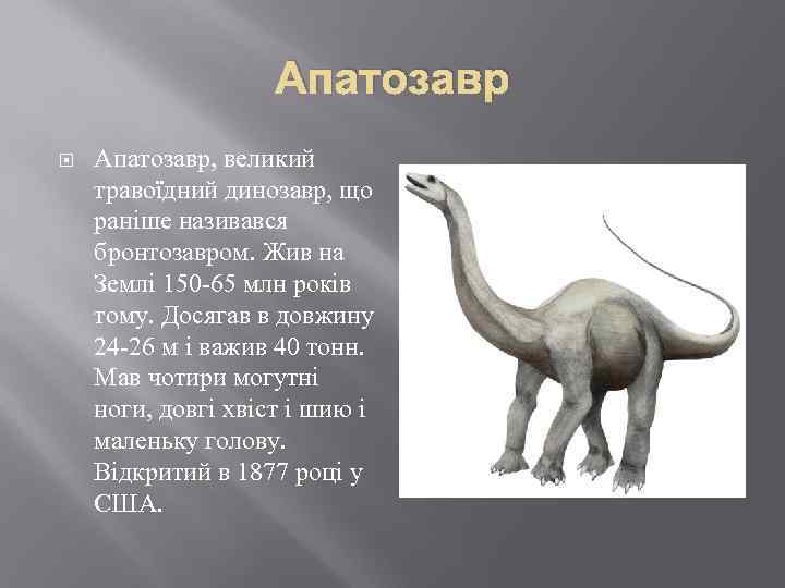 Апатозавр Апатозавр, великий травоїдний динозавр, що раніше називався бронтозавром. Жив на Землі 150 -65