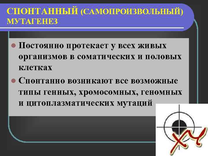 СПОНТАННЫЙ (САМОПРОИЗВОЛЬНЫЙ) МУТАГЕНЕЗ l Постоянно протекает у всех живых организмов в соматических и половых