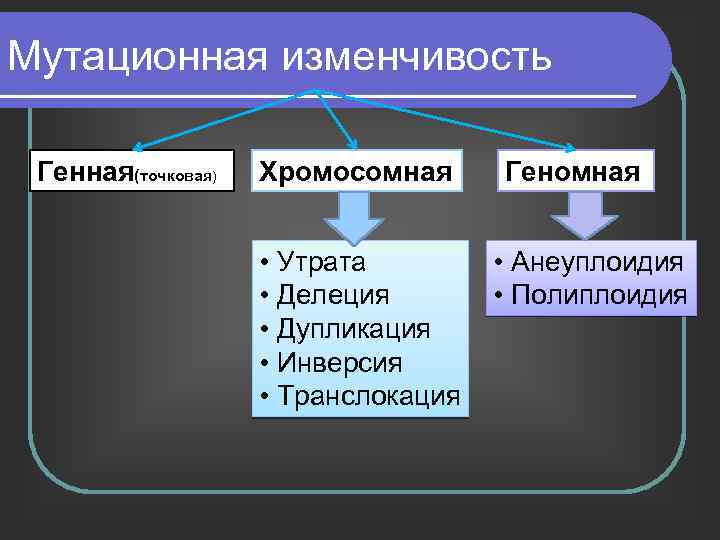 Схема виды изменчивости