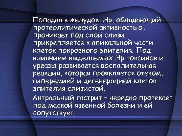Попадая в желудок, Hр, обладающий протеолитической активностью, проникает под слой слизи, прикрепляется к апикальной