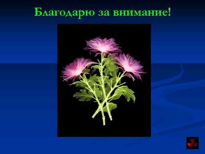 Благодарю за внимание! 