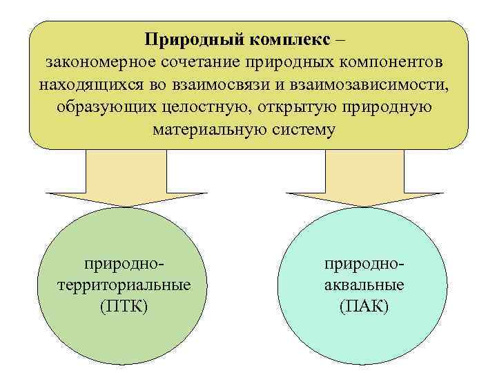  Природный комплекс – закономерное сочетание природных компонентов находящихся во взаимосвязи и взаимозависимости, образующих