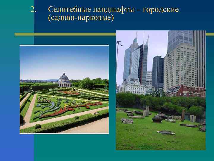 2. Селитебные ландшафты – городские (садово парковые) 