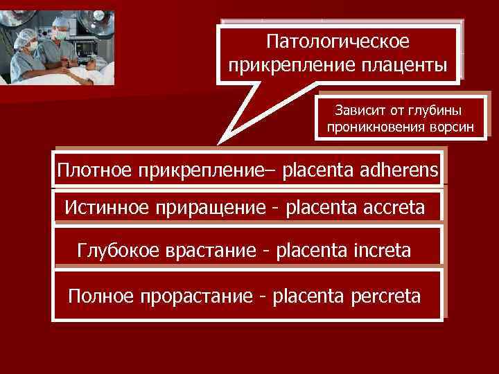 Патологическое прикрепление плаценты Зависит от глубины проникновения ворсин Плотное прикрепление– placenta adherens Истинное приращение