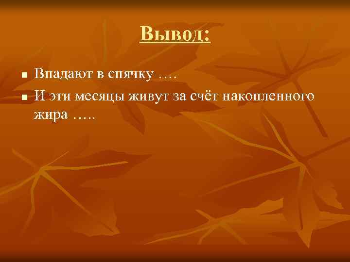 Вывод: n n Впадают в спячку …. И эти месяцы живут за счёт накопленного