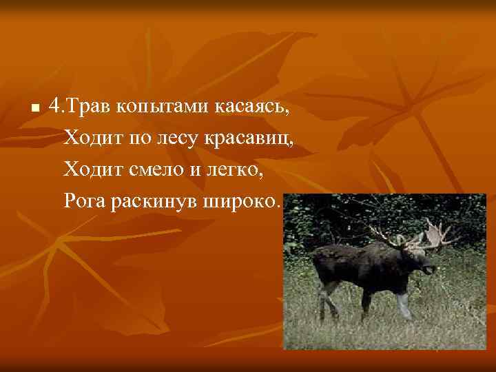 n 4. Трав копытами касаясь, Ходит по лесу красавиц, Ходит смело и легко, Рога