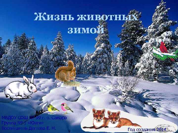 Жизнь животных зимой МБДОУ СОШ № 99 г. о. Самара Группа № 1 «Юнги»