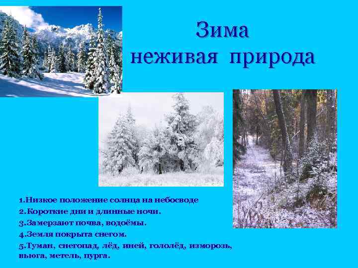Зима неживая природа 1. Низкое положение солнца на небосводе 2. Короткие дни и длинные