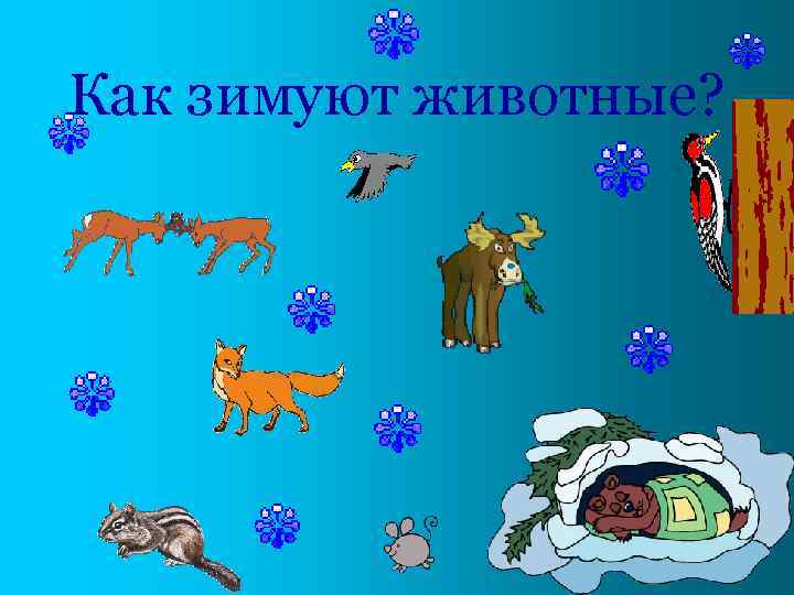 Как зимуют животные? 