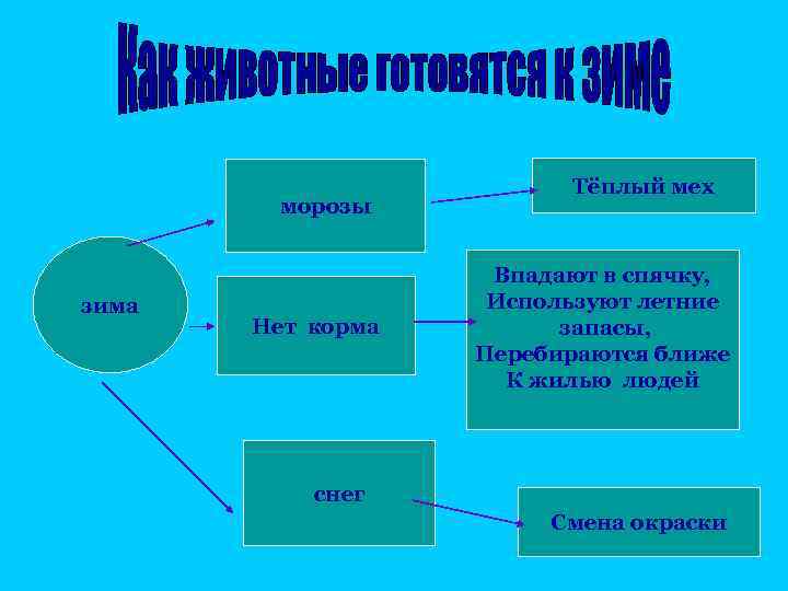 морозы зима Нет корма Тёплый мех Впадают в спячку, Используют летние запасы, Перебираются ближе