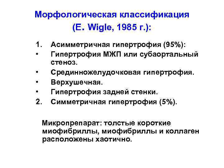 Морфологическая классификация (E. Wigle, 1985 г. ): 1. • • 2. Асимметричная гипертрофия (95%):