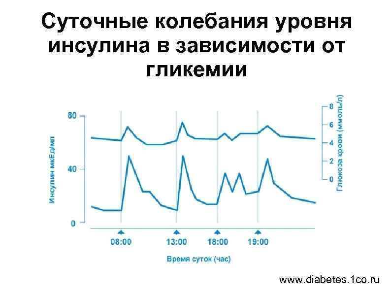 Изменение суточных. Суточные колебания инсулина. Суточный график колебания инсулина. Суточные колебания инсулина в крови. Суточные колебания уровня co2.