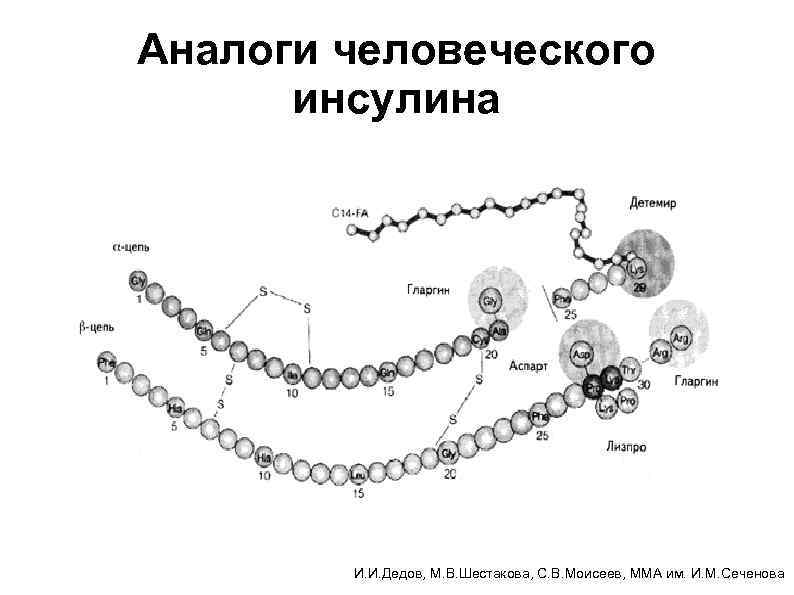 Аналоги человеческого инсулина И. И. Дедов, М. В. Шестакова, С. В. Моисеев, ММА им.