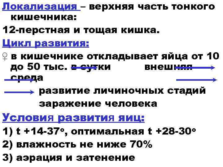 Локализация – верхняя часть тонкого кишечника: 12 -перстная и тощая кишка. Цикл развития: ♀